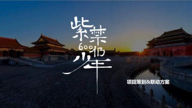 紫禁600仍少年项目策划&联动方案