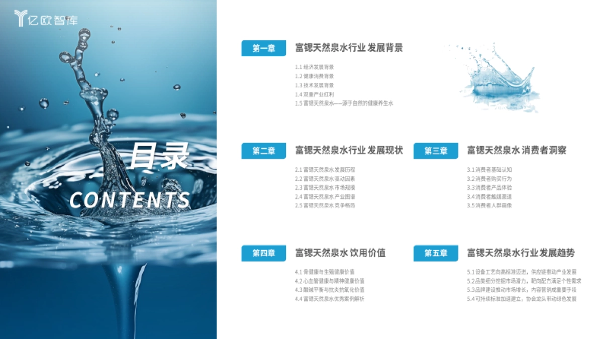 亿欧智库：2024中国富锶天然泉水白皮书_第4页