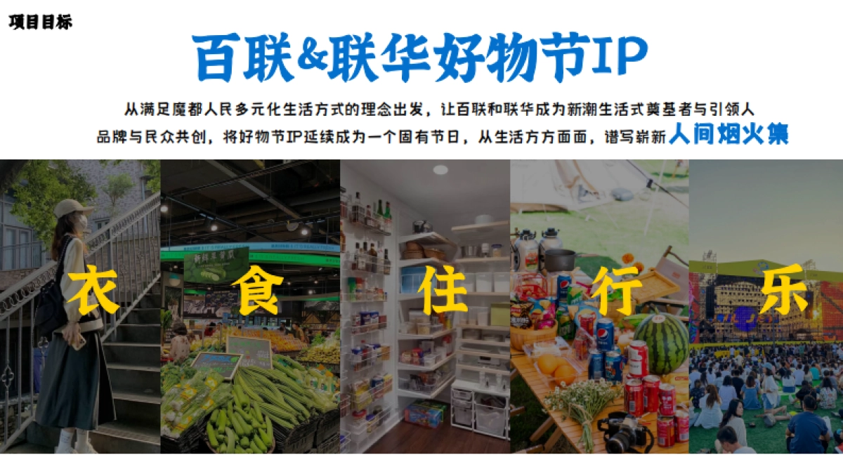 百联全球好物节整合营销方案_第4页