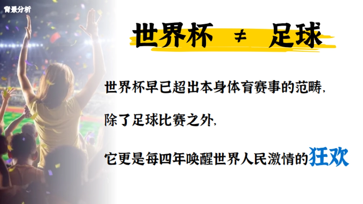 百联全球好物节整合营销方案_第8页