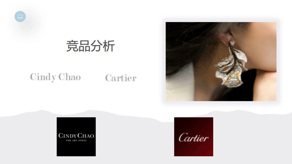 宝姐珠宝奢侈品小红书推广策划运营方案_第6页