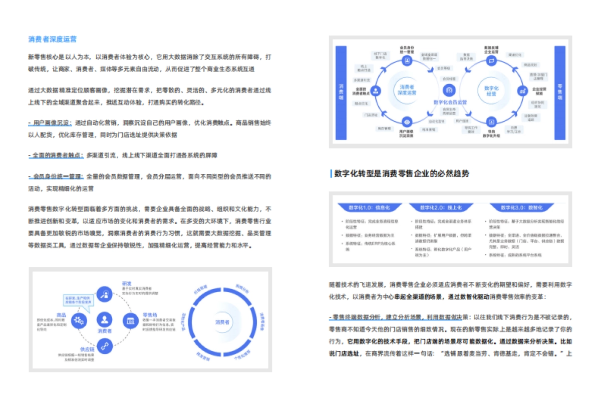 帆软:2024消费零售行业数据建设白皮书_第4页