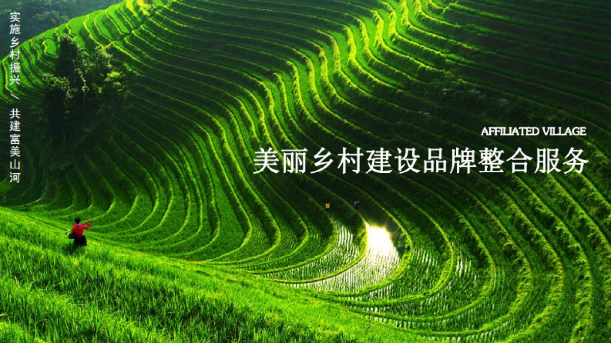 美丽乡村建设品牌整合服务方案_第1页