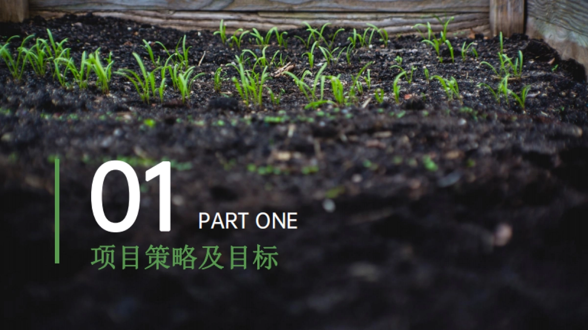 美丽乡村建设品牌整合服务方案_第2页