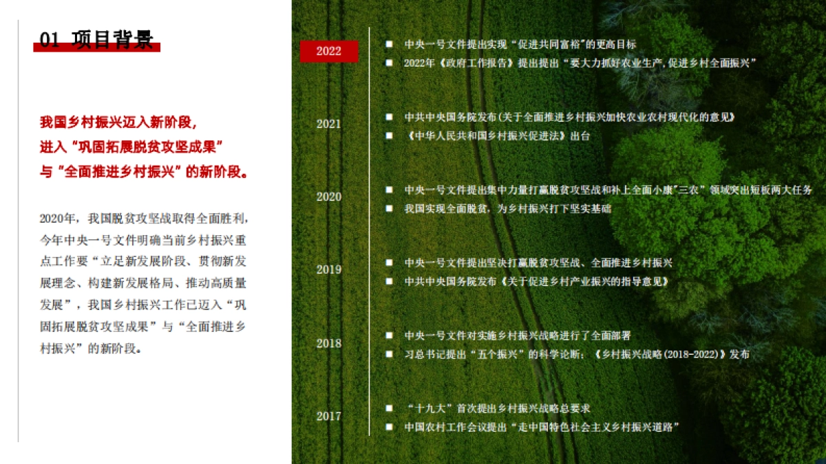 美丽乡村建设品牌整合服务方案_第3页