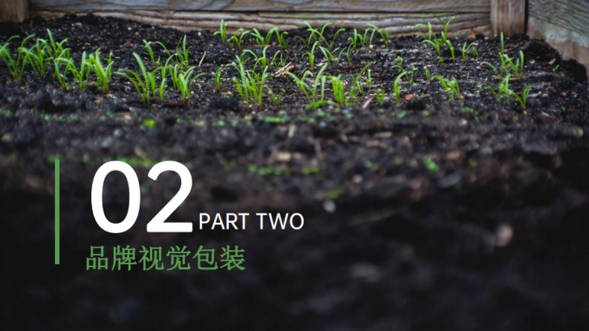 美丽乡村建设品牌整合服务方案_第8页