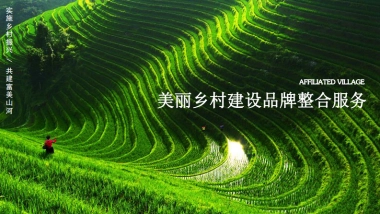 美丽乡村建设品牌整合服务方案