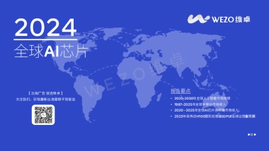 维卓：2024全球AI芯片行业报告