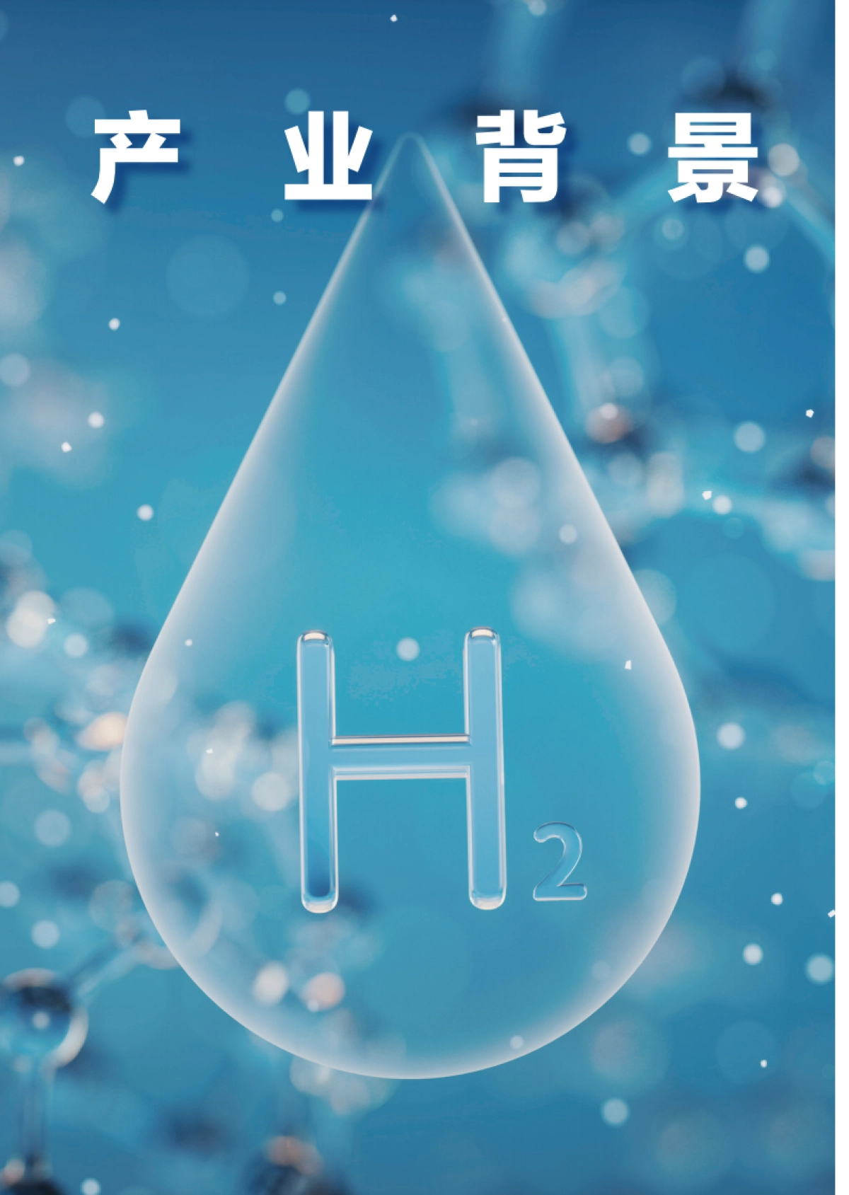 新京报&贝壳财经：2024氢能产业活力报告_第6页