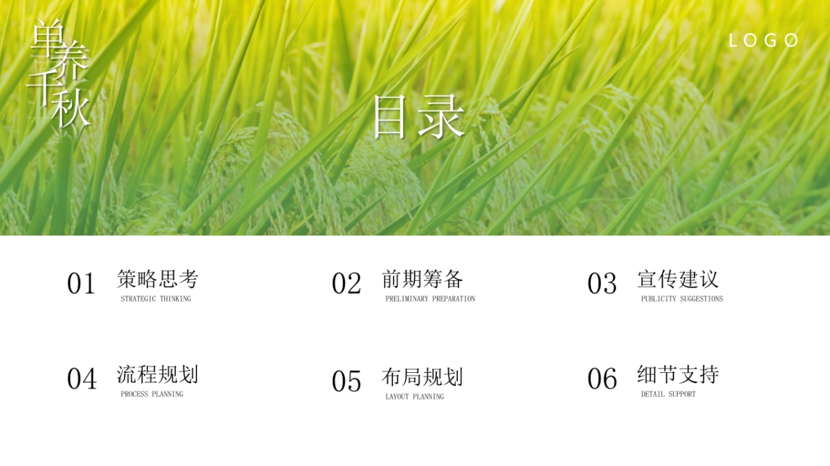 单县地理标志农产品罗汉参推介会_第2页