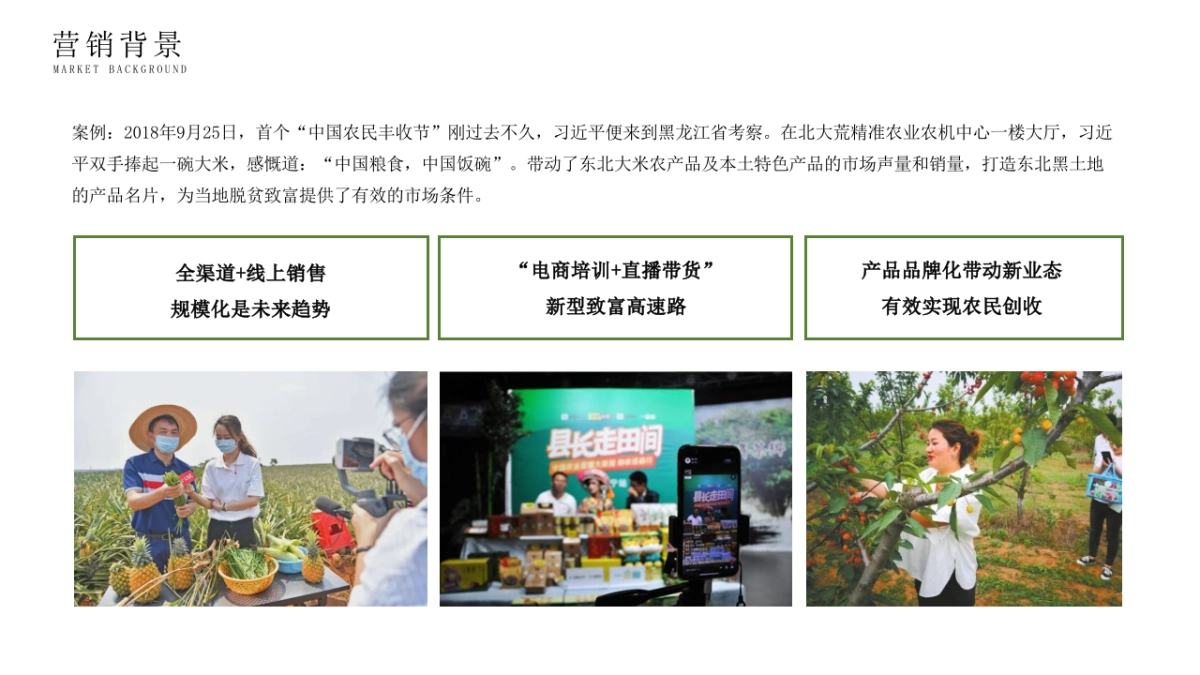 单县地理标志农产品罗汉参推介会_第6页