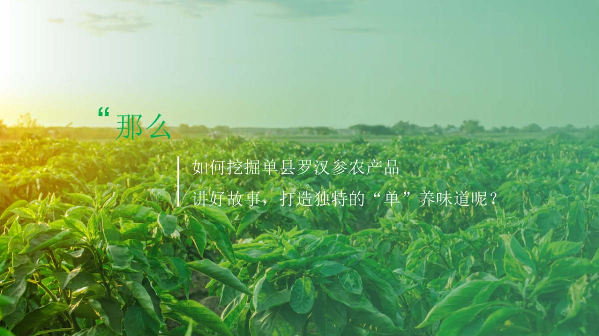 单县地理标志农产品罗汉参推介会_第8页