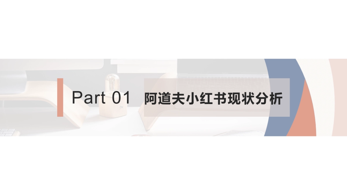 阿道夫新品小红书新品营销方案_第4页