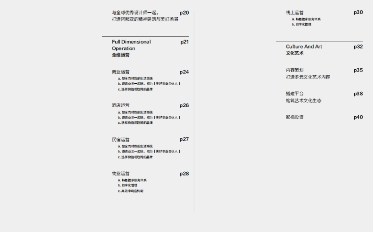 2024阿那亚品牌手册_第3页