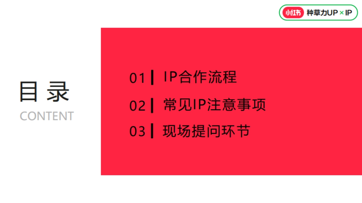 2024小红书营销IP执行标准_第2页