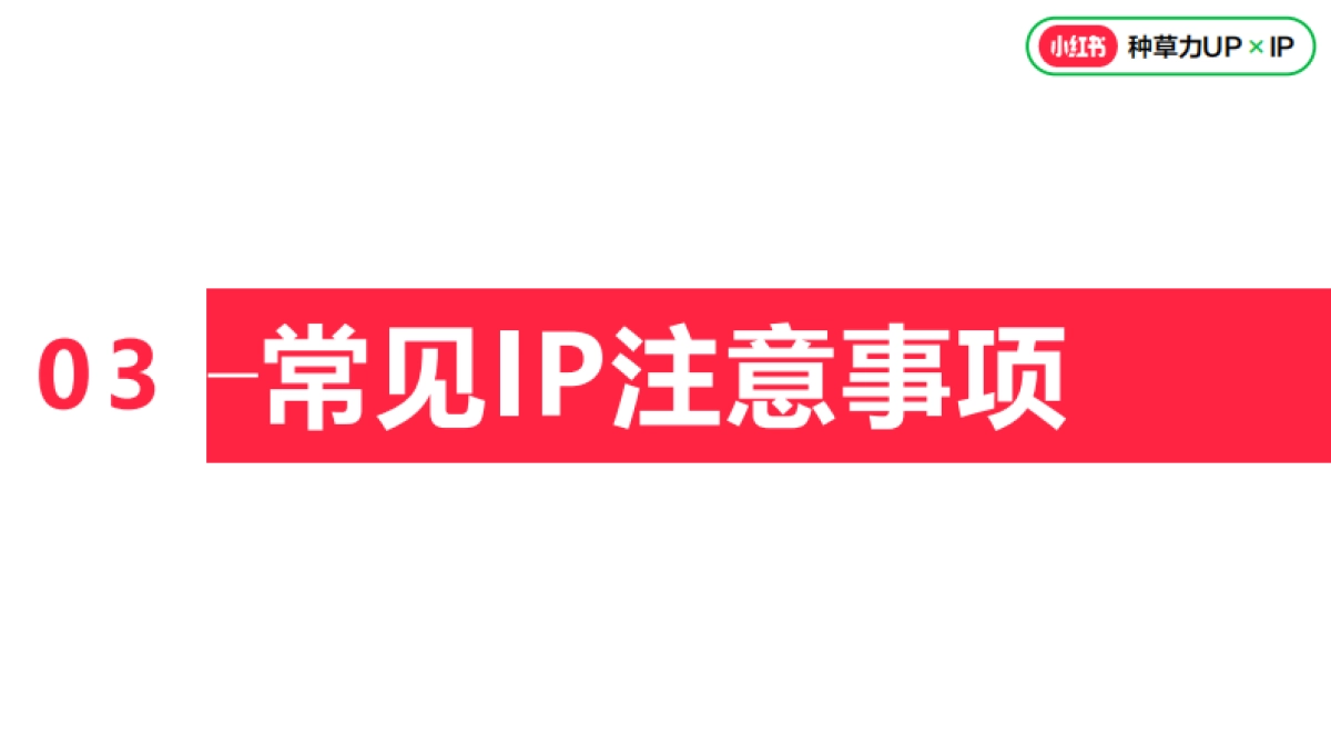 2024小红书营销IP执行标准_第5页