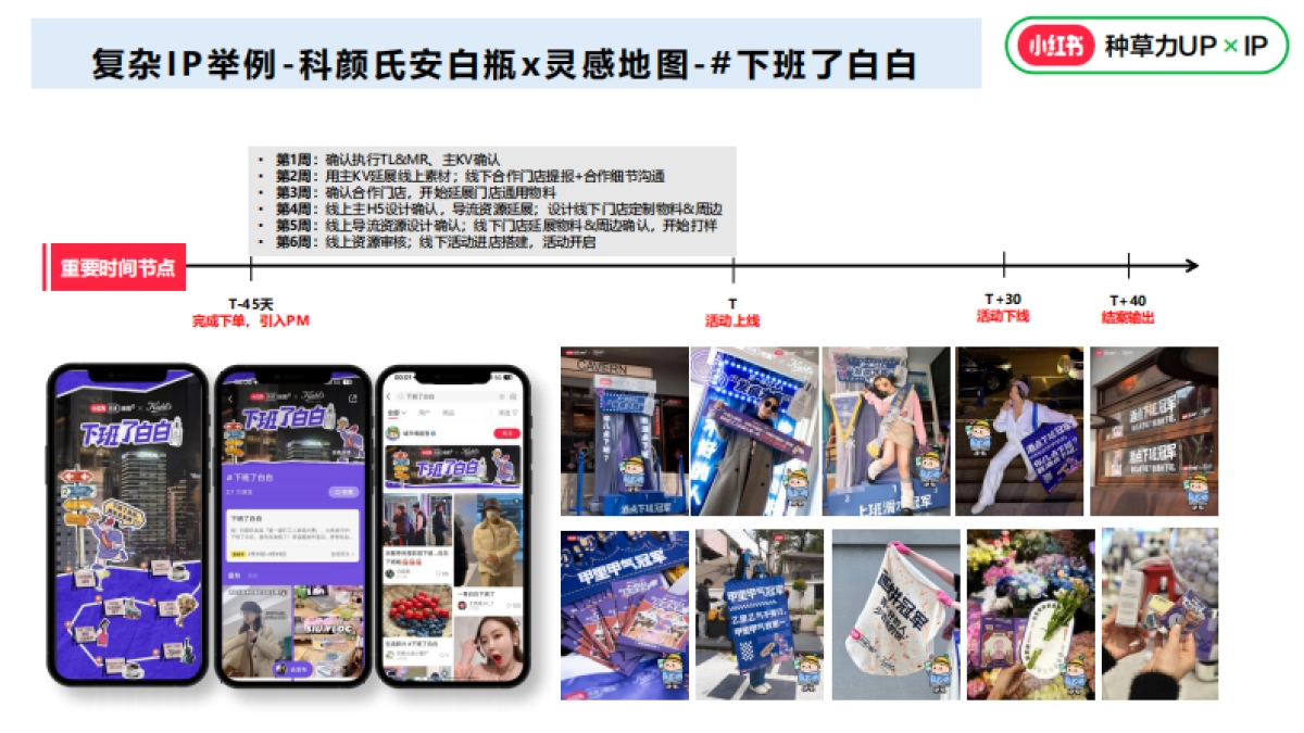 2024小红书营销IP执行标准_第8页