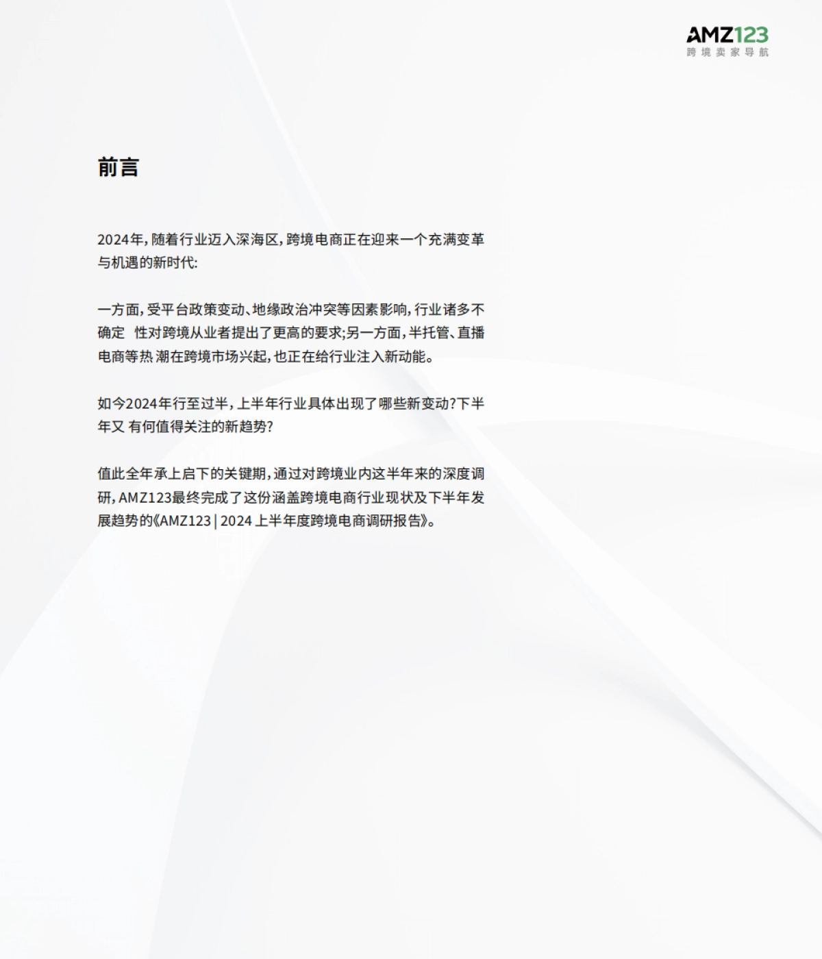 AMZ123：2024上半年度跨境电商调研报告_第2页
