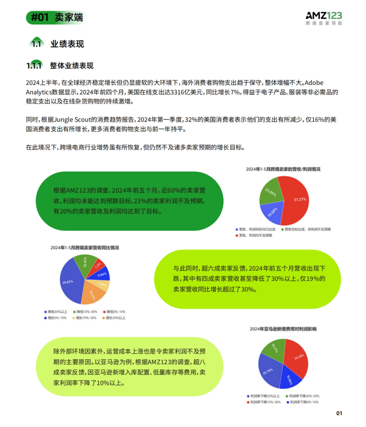 AMZ123：2024上半年度跨境电商调研报告_第5页