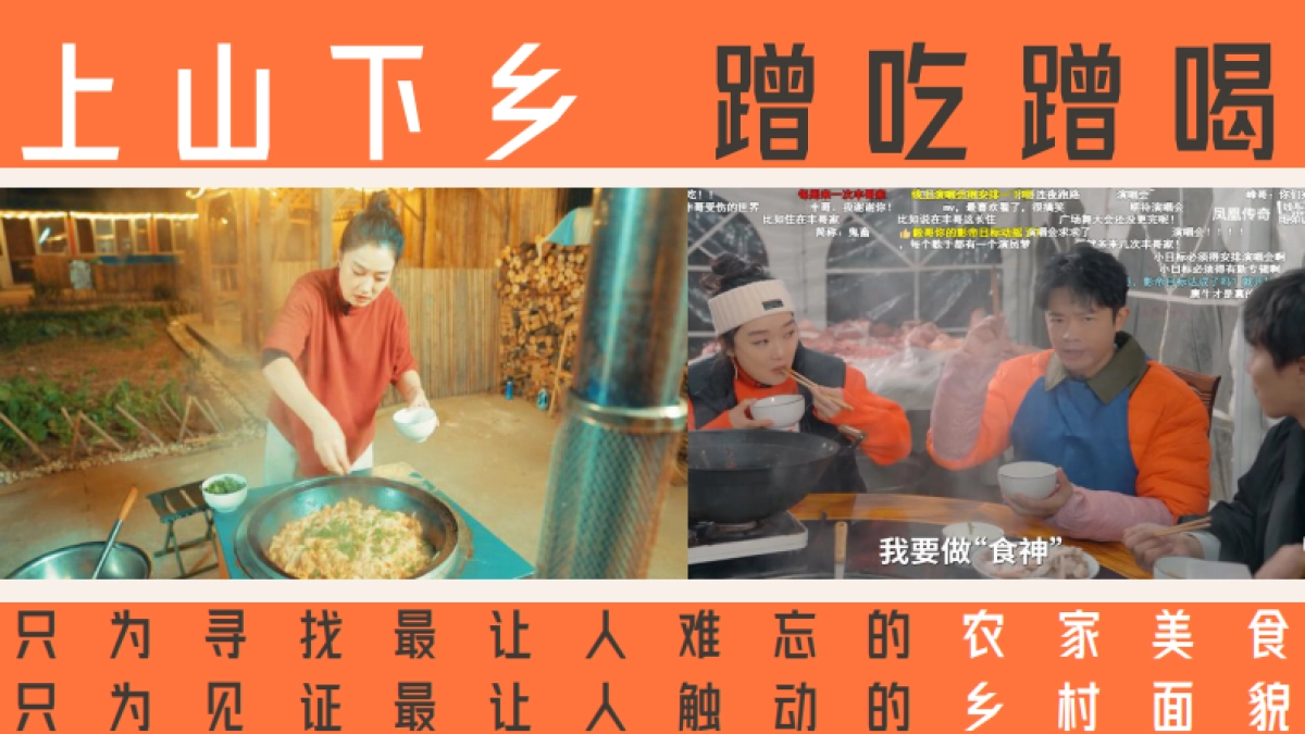 bilibili自制综艺《凤凰到处飞》招商方案_第3页