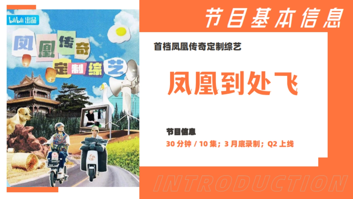 bilibili自制综艺《凤凰到处飞》招商方案_第8页