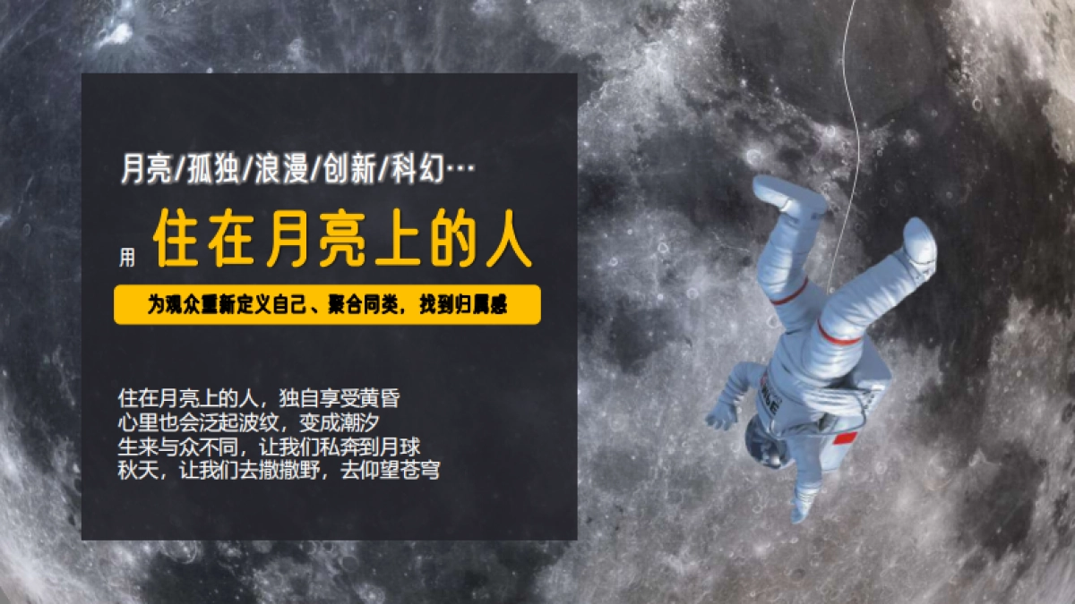 B站住在月亮上的人·中秋歌会招商方案_第8页