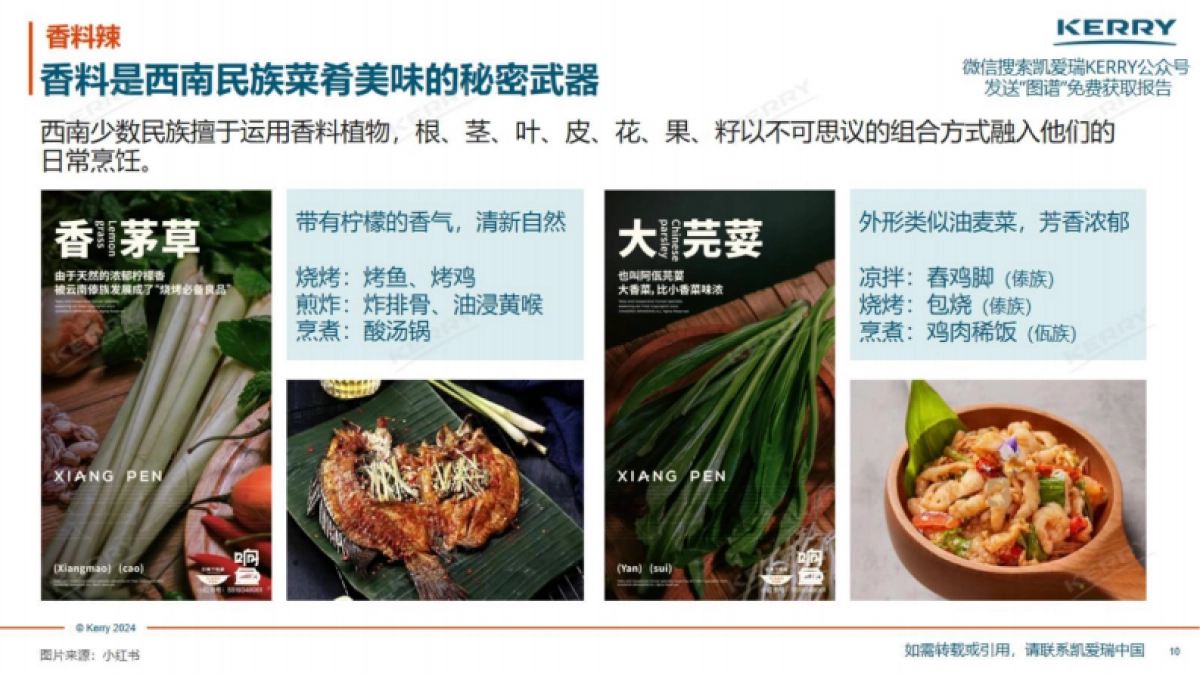 凯爱瑞：2024捕捉华夏民族珍味-咸味主食与咸味零食创新机遇报告_第10页