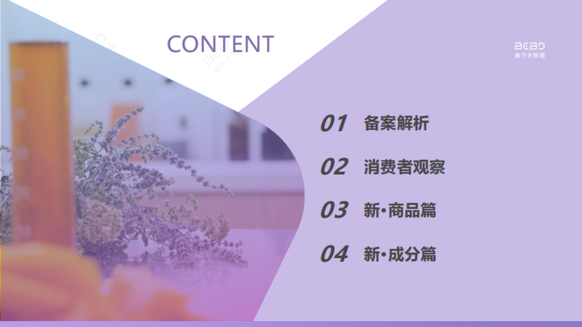 美丽修行：2024年6月美妆行业报告_第2页