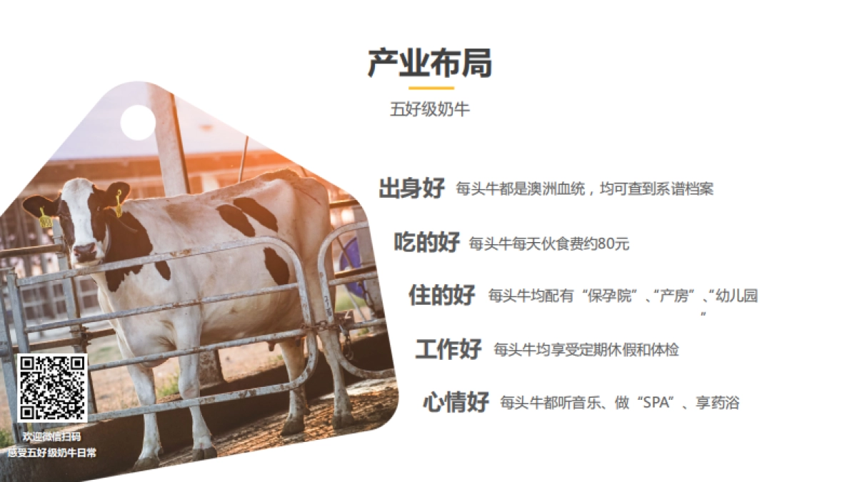 认养一头牛品牌手册_第6页