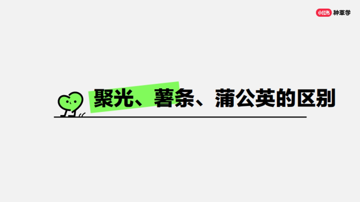 小红书：教你打造小红书蓝V专业号_第8页