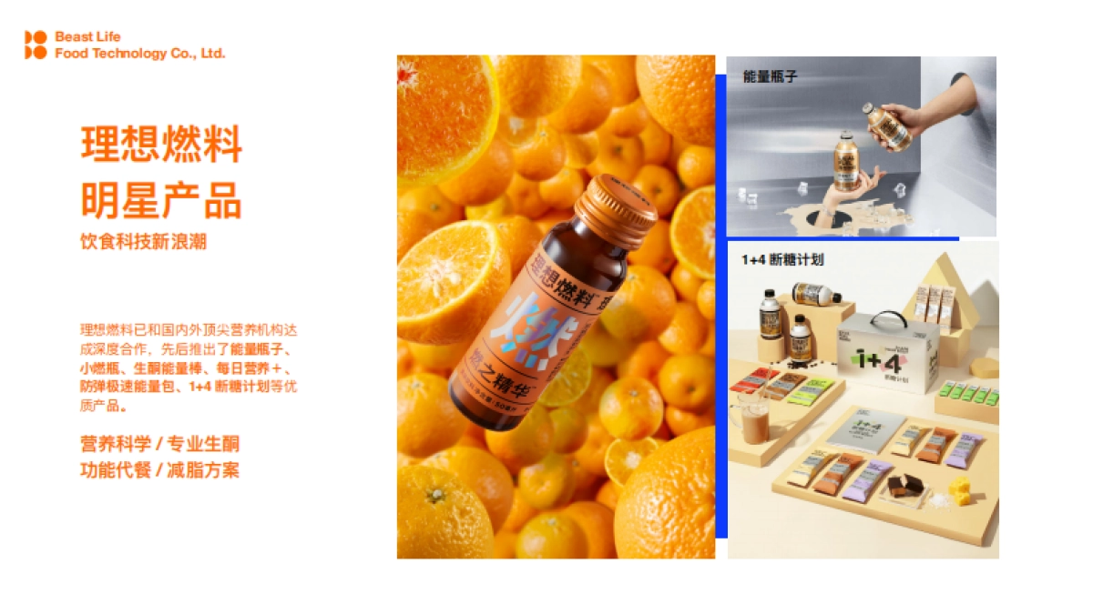 野兽生活品牌手册_第6页