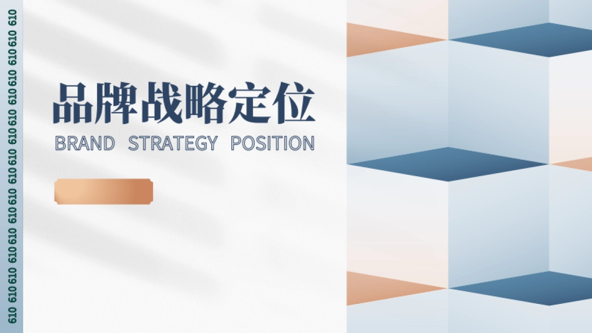 《品牌战略定位》方案模型宝典_第1页