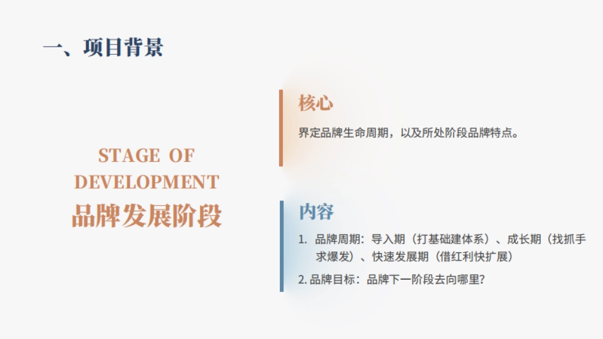 《品牌战略定位》方案模型宝典_第3页