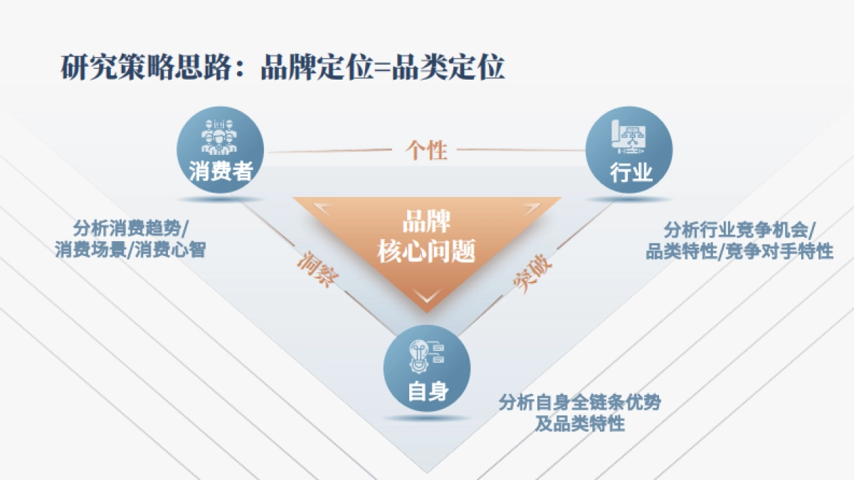 《品牌战略定位》方案模型宝典_第6页