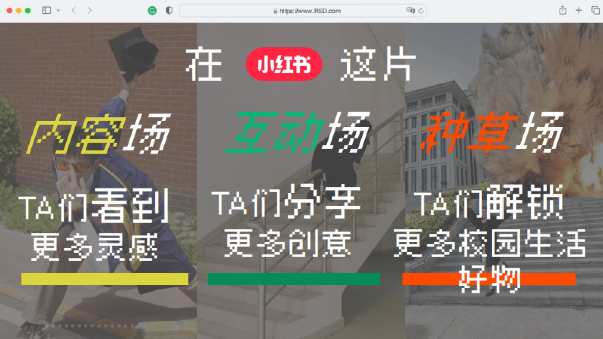 【2024小红书开学季】闪光开学季招商通案_第8页