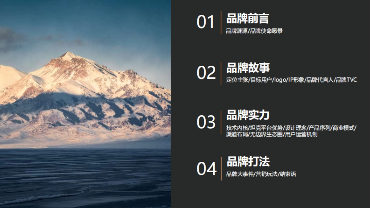 2023坦克汽车品牌手册_第2页