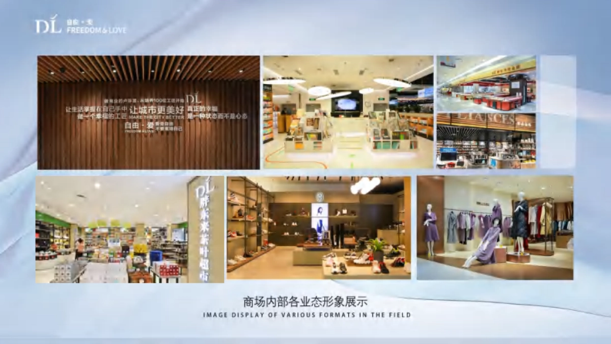 2024胖东来天使城购物中心招商手册_第9页