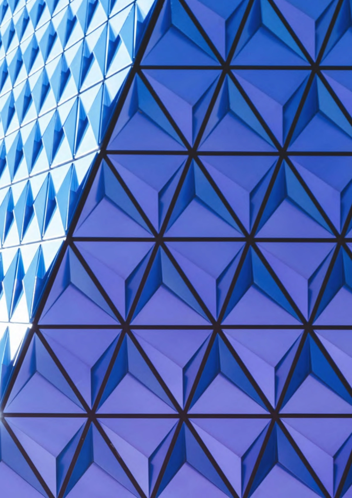 戴德梁行：2024中国酒店业市场投资与价值洞察报告_第5页