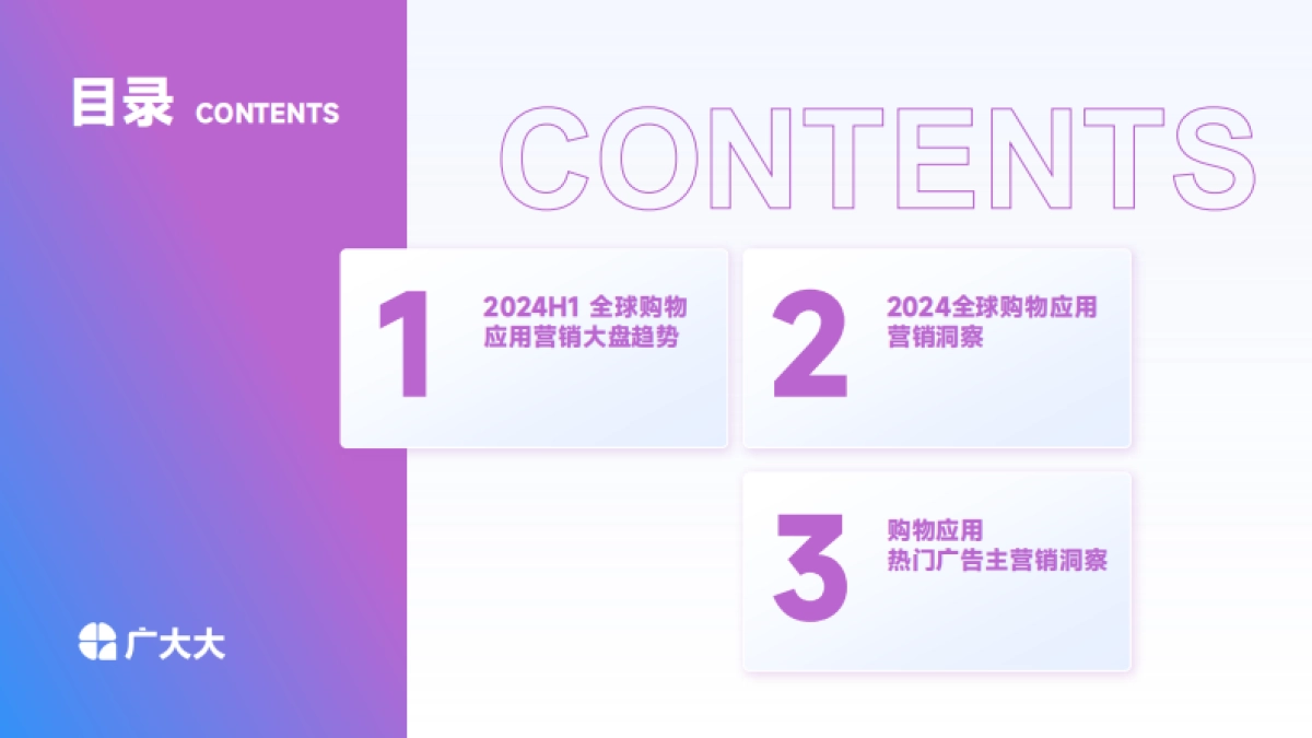 广大大：2024全球购物应用营销洞察报告_第3页
