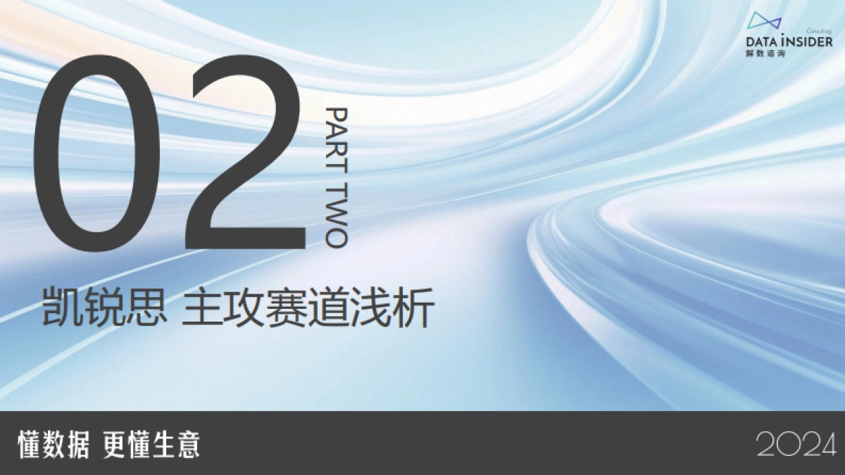 解数咨询：2024凯瑞思品牌拆解报告_第9页