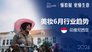 解数咨询：2024年6月美妆出海东南亚市场研究-印尼