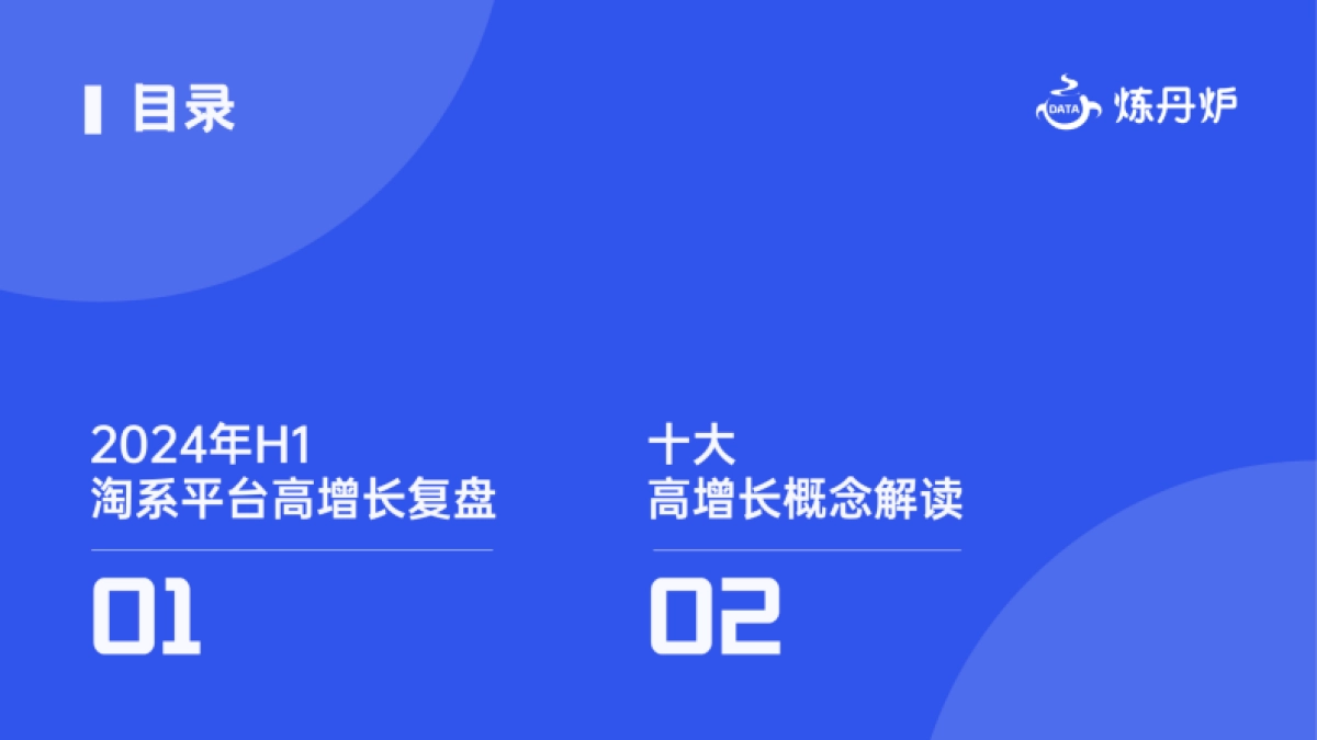 炼丹炉:2024年H1高增长概念洞察报告_第3页