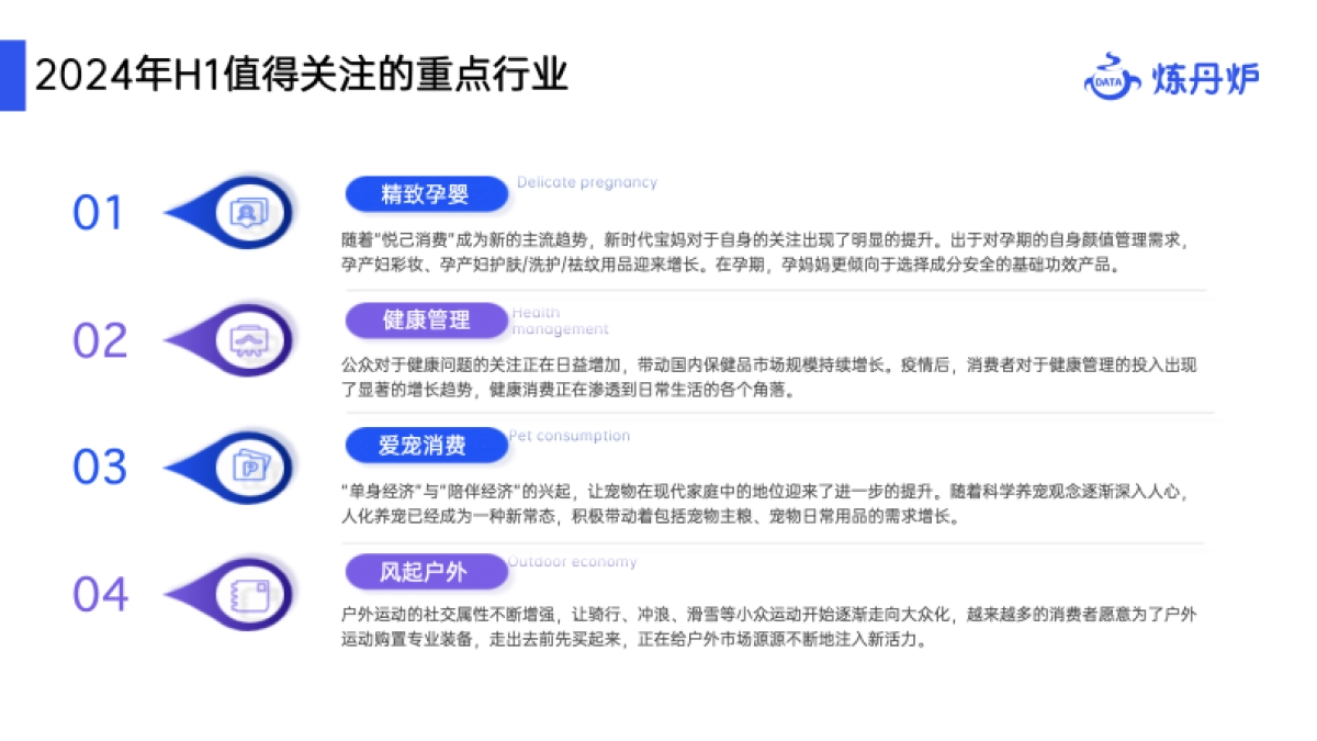 炼丹炉:2024年H1高增长概念洞察报告_第7页