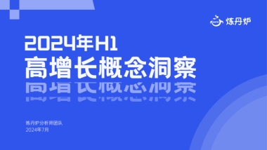 炼丹炉：2024年H1高增长概念洞察报告