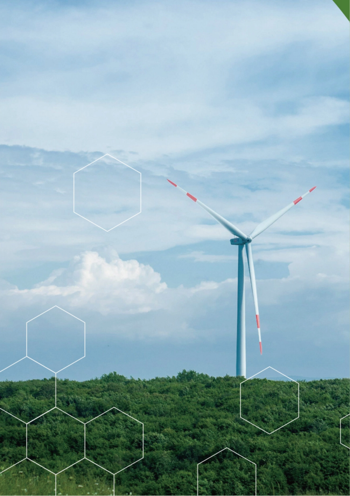 清华五道口：2024光伏、风能、新能源汽车行业政策研究及发展分析研究报告_第6页