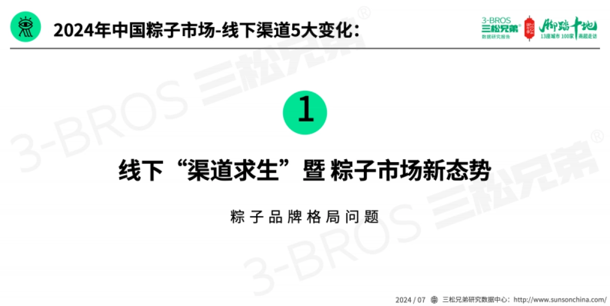 三松兄弟:2024中国粽子市场调研报告_第5页