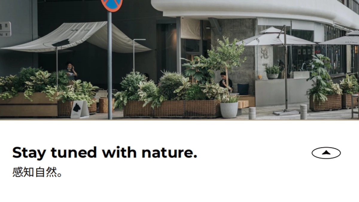 山池品牌手册_第2页