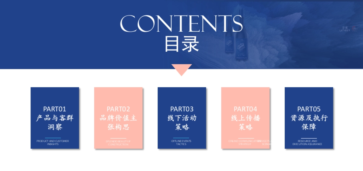 茅台蓝莓果酒品牌年度推广策略提案_第2页