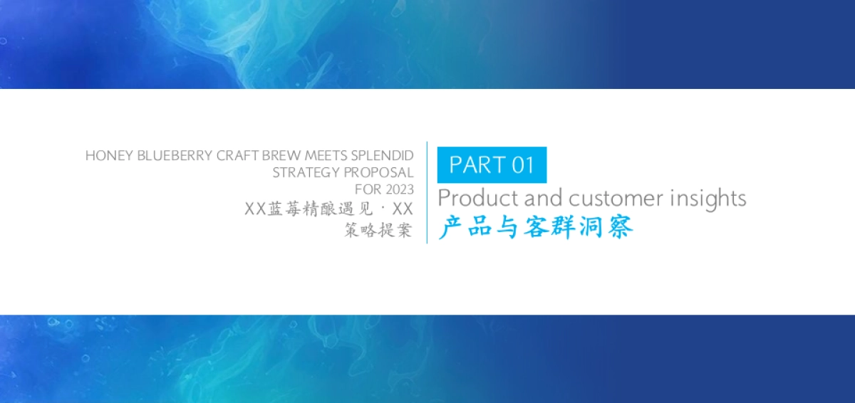 茅台蓝莓果酒品牌年度推广策略提案_第3页