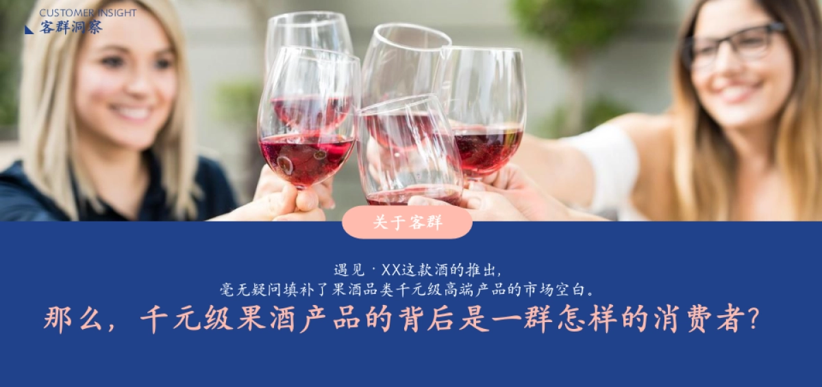 茅台蓝莓果酒品牌年度推广策略提案_第5页